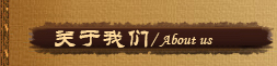 公司簡介
